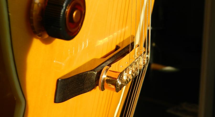 Neck and bridge radius compatibility-gabon_base3-jpg
