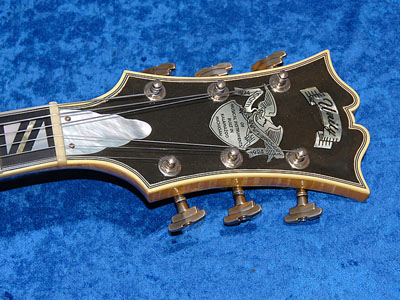 Unity 100th Anniversary Custom Archtop-125042b4-jpg