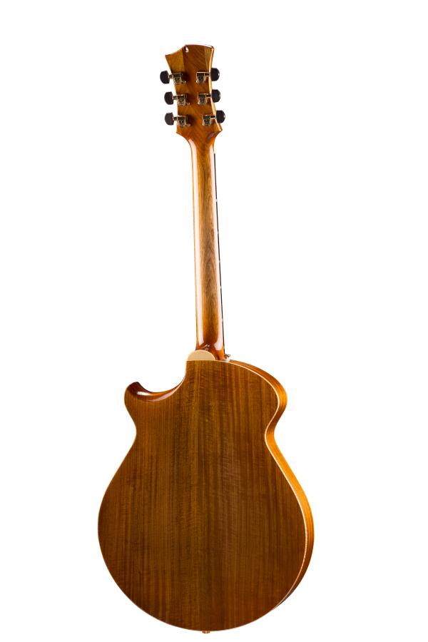 Opinions - Eastman El Rey-eastman_customedition_guitar_er4_back_050917-jpg