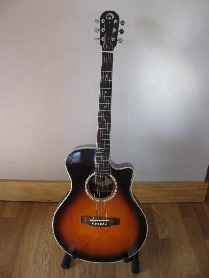 Possible to convert a flat top into jazz guitar?-s-l1600-jpg