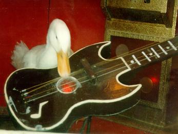 Gibson 1960's Narrow Nut-guitar1-jpg