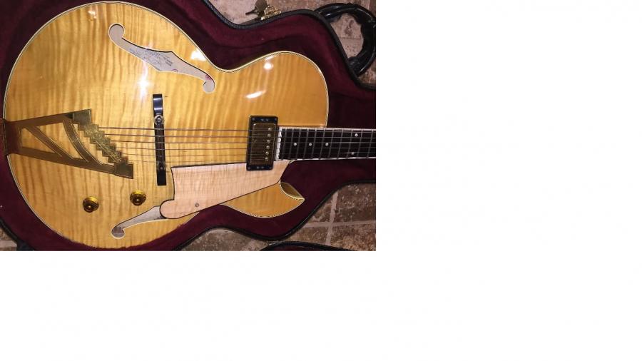 Heritage Headstock Critics Have Win-dangelico-ii-jpg
