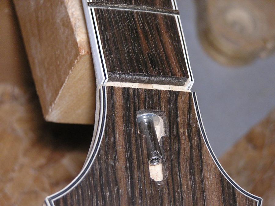 Why the dislike for volutes?-semi-hollow-electric-013-jpg