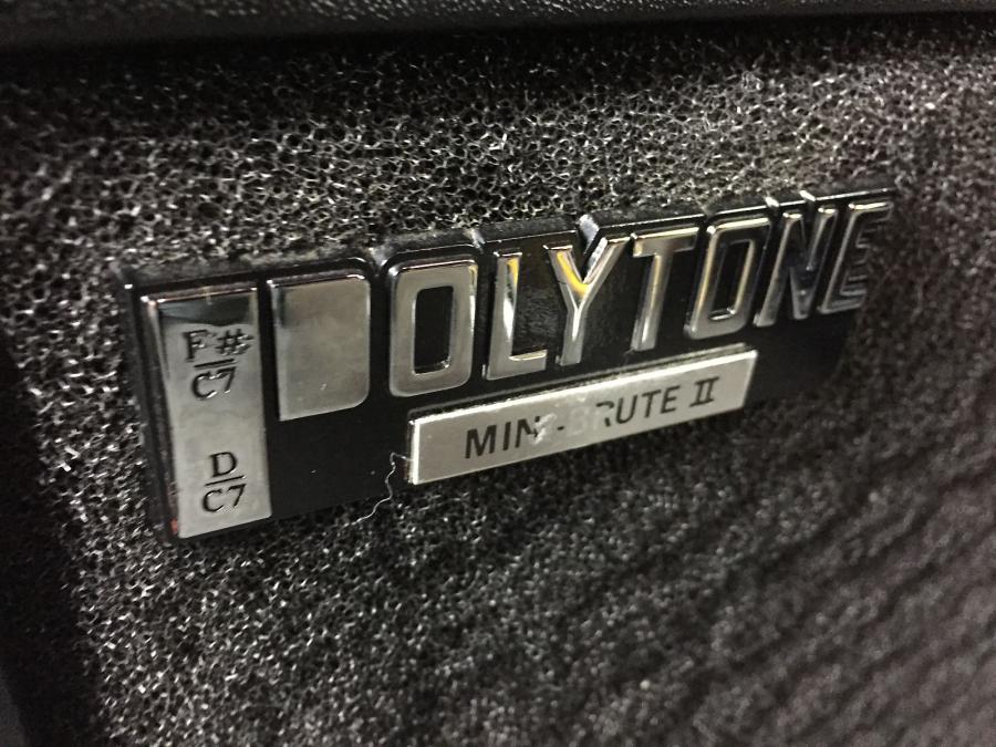 Polytone Mini Brute II - A Good Choice for Jazz?-ptmbii_12-jpg