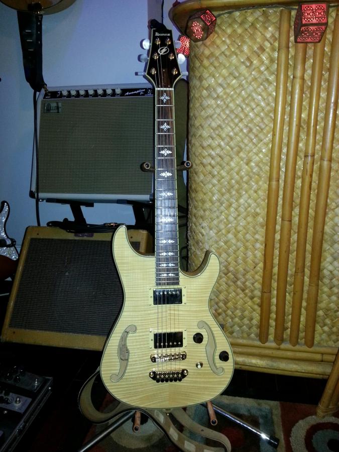 small bodied guitars - hollow and semi-hollow?-awd102a-jpg