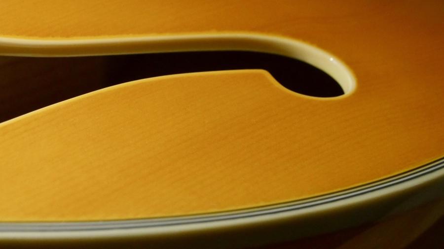 small bodied guitars - hollow and semi-hollow?-dusen-closeup-jpg