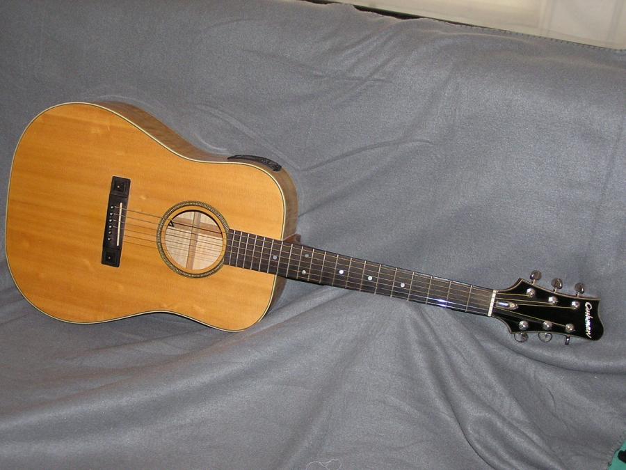Acoustic Guitar for Chord Melody Jazz-p1010007-jpg