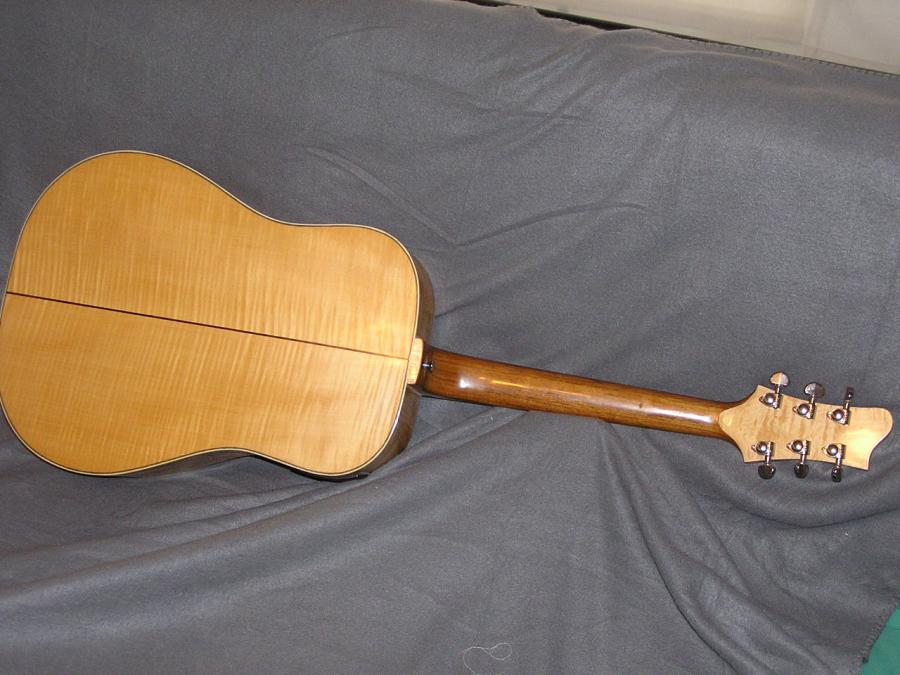 Acoustic Guitar for Chord Melody Jazz-p1010008-jpg