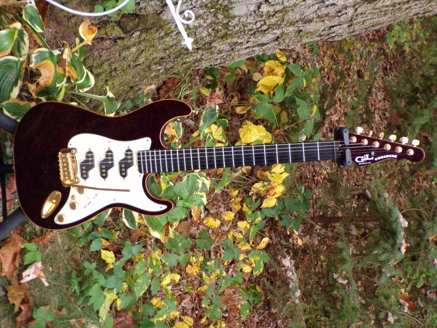 CME Memphis Gibson Lucille with a clear flaw-100_0093-jpg