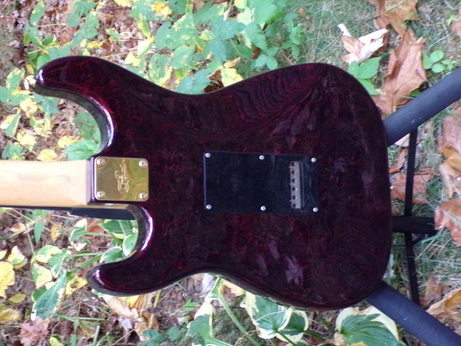 CME Memphis Gibson Lucille with a clear flaw-100_0112-jpg