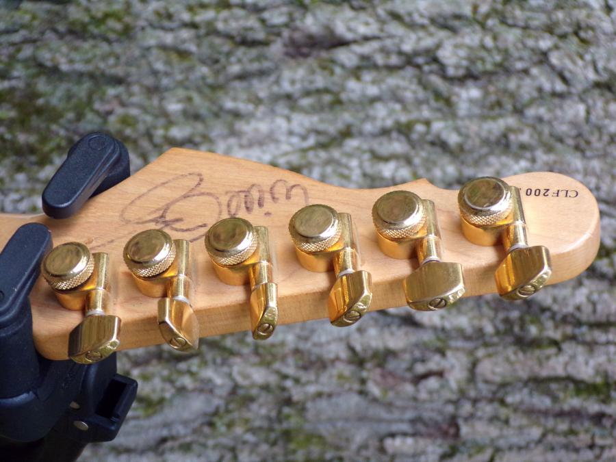 CME Memphis Gibson Lucille with a clear flaw-100_0113-jpg