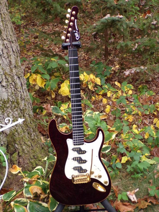 CME Memphis Gibson Lucille with a clear flaw-100_0093-jpg