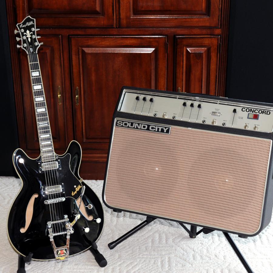 Super High Clean Headroom for Live Looping.-5735-5x5-jpg