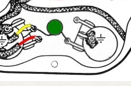Stratocaster pickup in my archtop-50stonepot-jpg