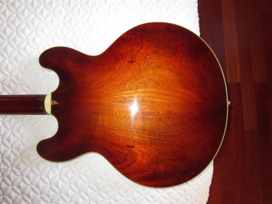 Eastman T486-186-back-jpg