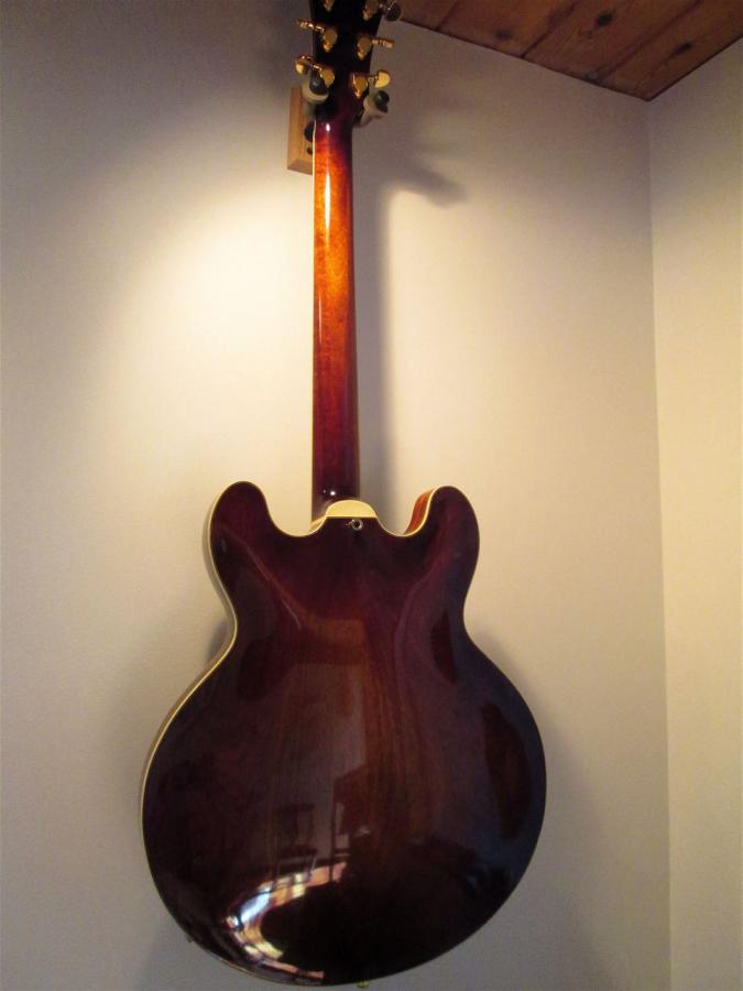Eastman T486-186-hanging-back-jpg