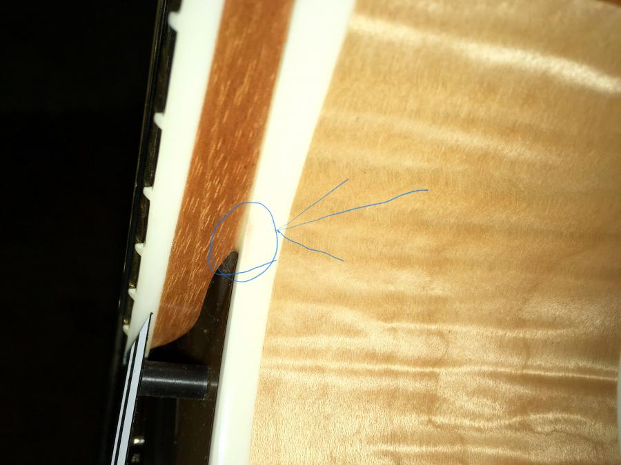Gibson ES-175 - Finally spotted a flaw-1cd80f4b-e37b-4309-972e-a4d756277a3b-jpg