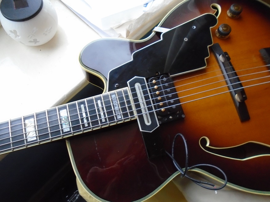 Ibanez JP20 with John Anthony Guitars CC Pickups-cc-pickup-jpg