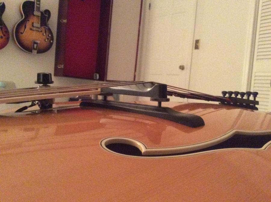 I need to learn about Archtop Bridges-e543c1d0-cd92-4775-adc6-4dae3f480a41-jpg