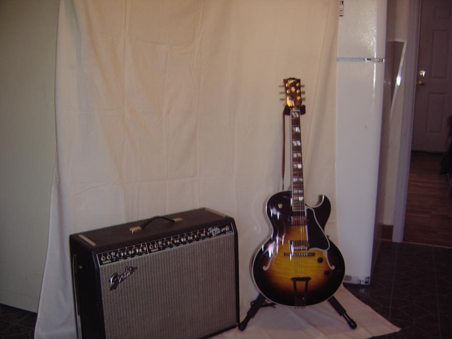 Gibson ES-175 Custom-dsc01142-jpg