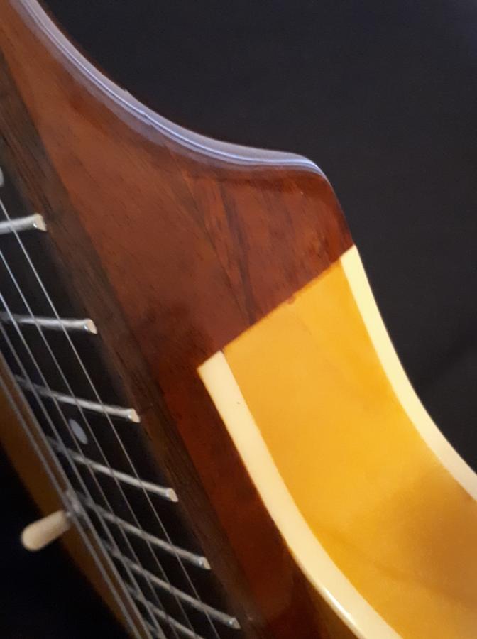 Epiphone 50th anniversary/ 1962 Sorrento-20180118_144255-jpg