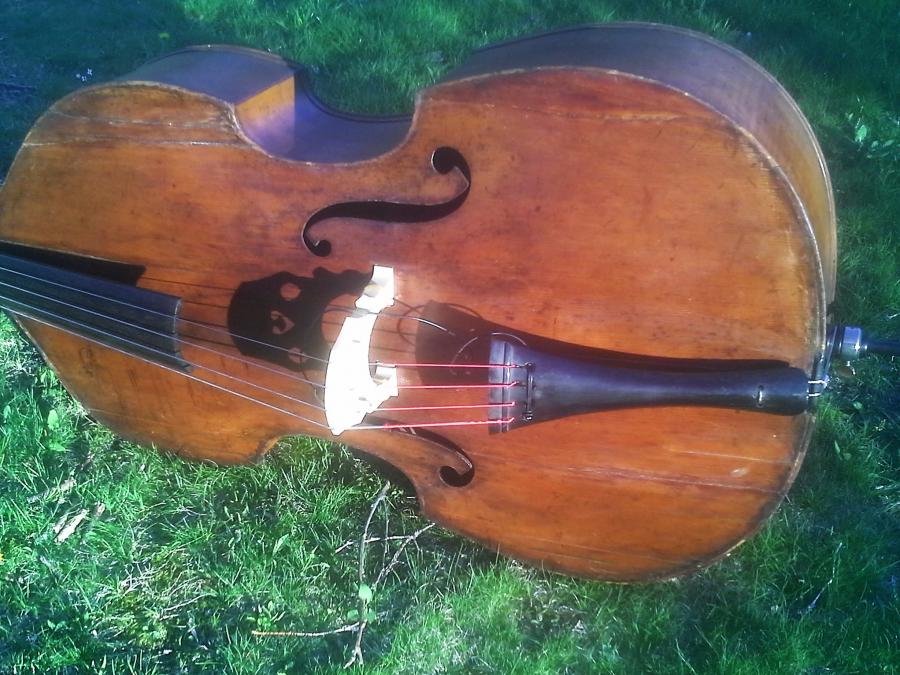 Misery loves company - share your instrument damage stories-face-jpg