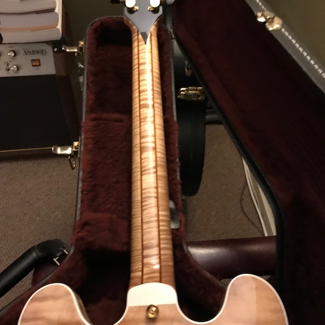 Heritage Golden Eagle thinline-img_0341-jpg