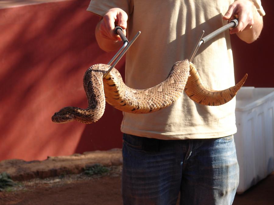 Gibson Multi-Tool-snake-hook-jpg