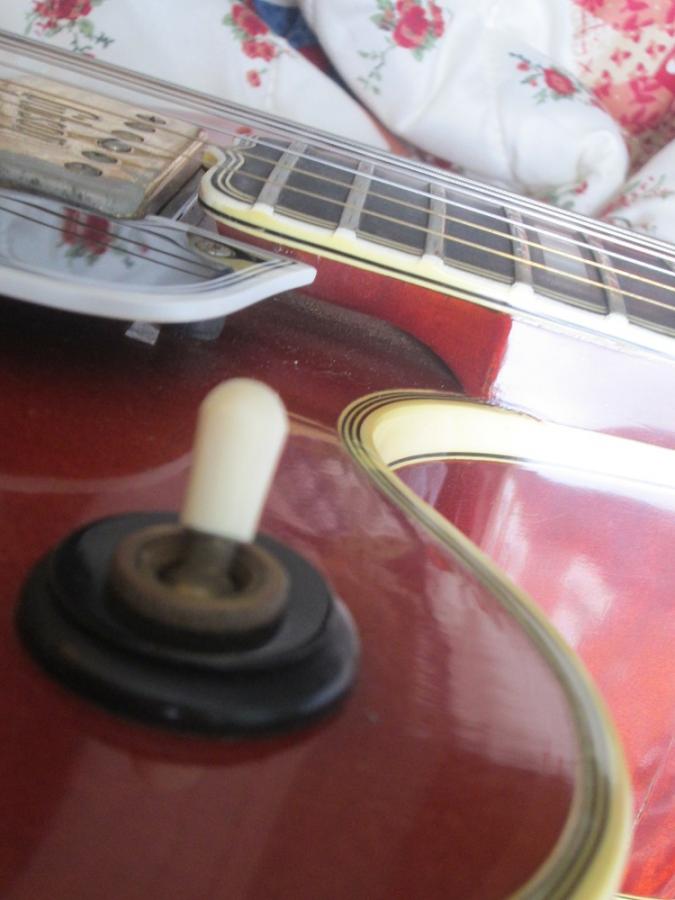 The Venerable Gibson L-5-l-5-neck-extension-2-jpg