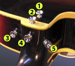 Gibson ES-175 - Strap Button Poll-ts0055a-jpg