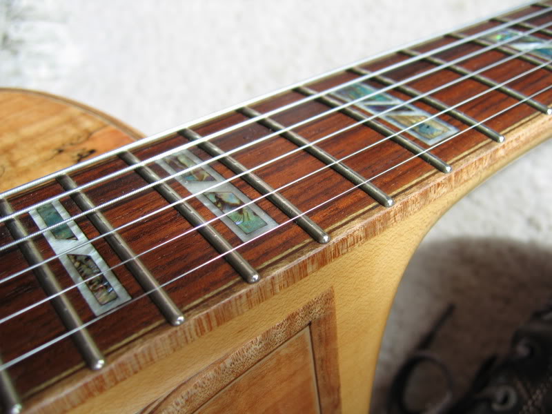 What is the Best Ibanez Jazz Guitar?-ibanez-105sm-fboard-jpg