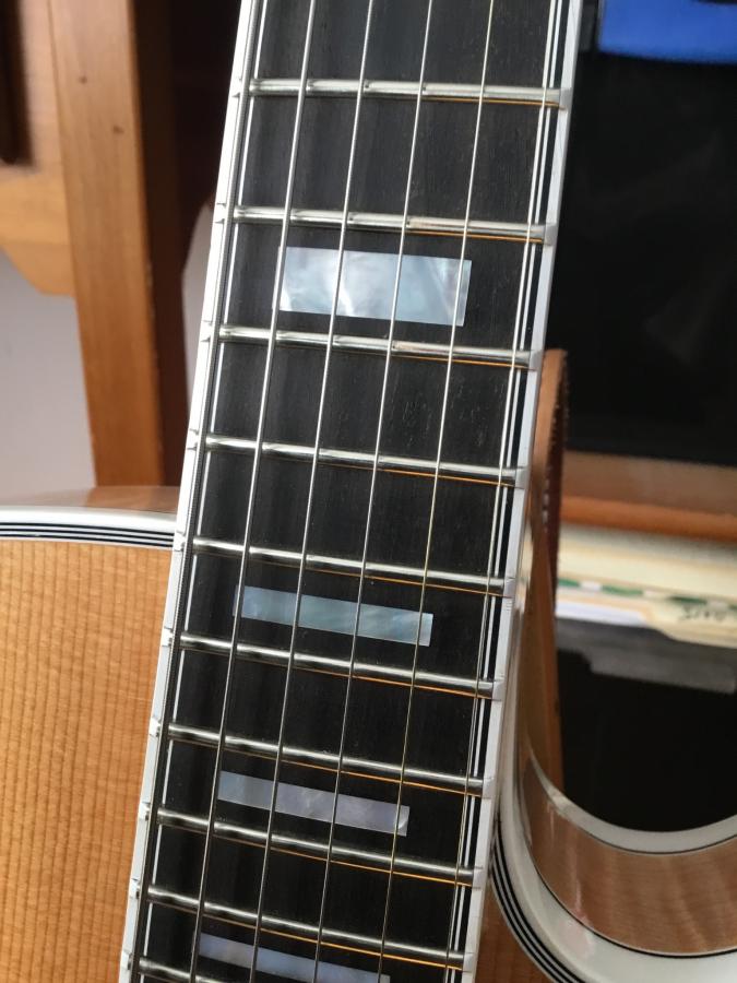 Gibson customer service and richlite boards-057f2636-64c6-45fe-a9aa-ea17f5e958bd-jpg