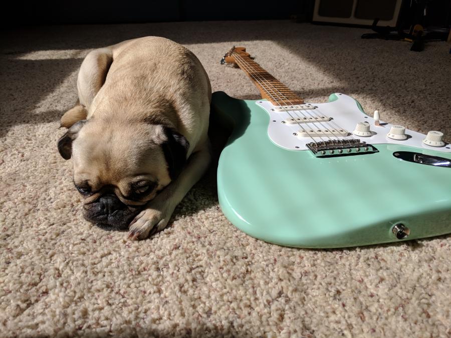 Fender Stratocaster for Jazz?-strat-jpg