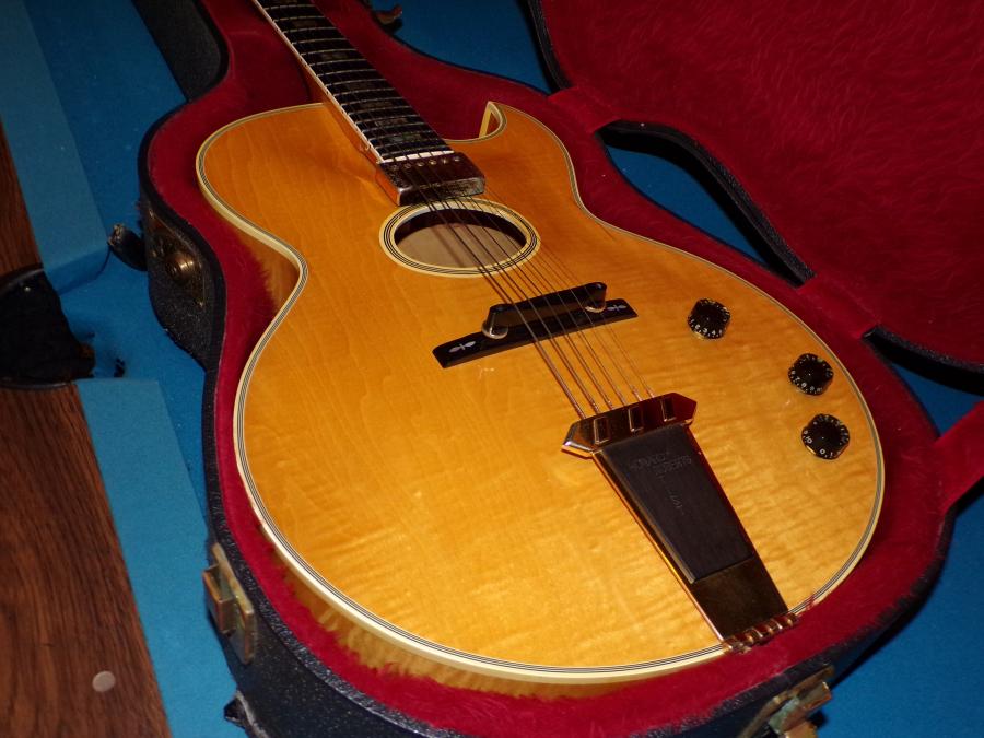 Gibson Howard Roberts Revival-100_0229-jpg