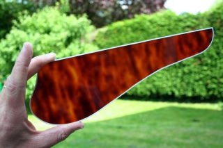 Finding good Tortoise pickguard material?-triumph_noncut_1-jpg