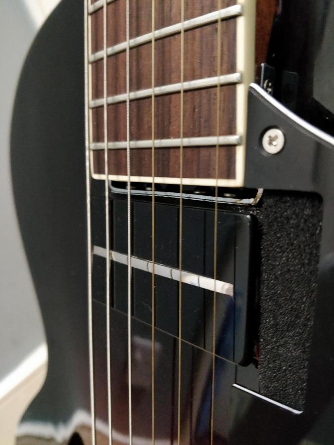 The Loar LH-600-32158776_1728511800562452_4410577219924000768_n-jpg