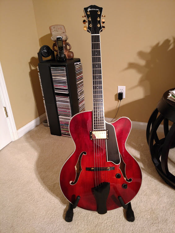 Advice for a Thinline hollow body guitar-my-t146-4-jpg
