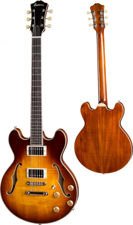 Advice for a Thinline hollow body guitar-t184mx-gb-thinline__pgb1_0118-1-jpg