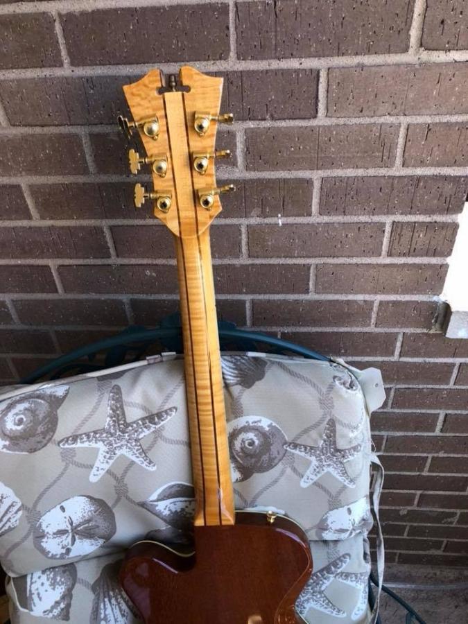 D'Angelico Solid Body Guitars-3811597c-1c46-4506-8761-42cb7ff42864-jpg