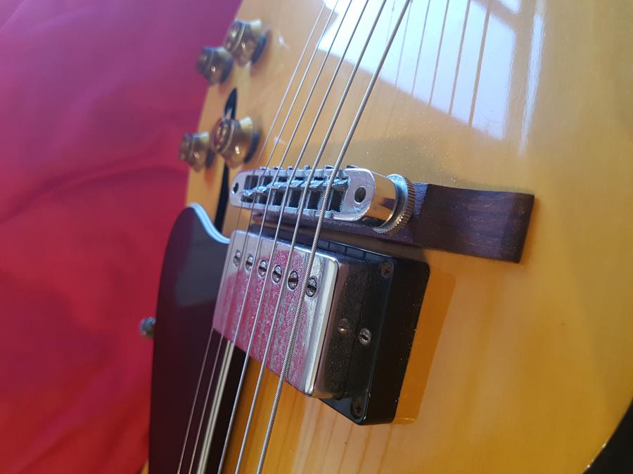 Does My Gibson ES-175 Need a Refret?-20180709_194725-jpg