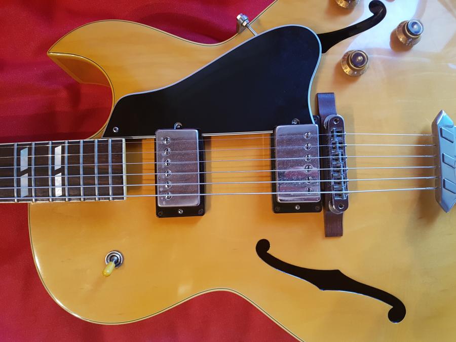 Does My Gibson ES-175 Need a Refret?-20180709_194816-jpg
