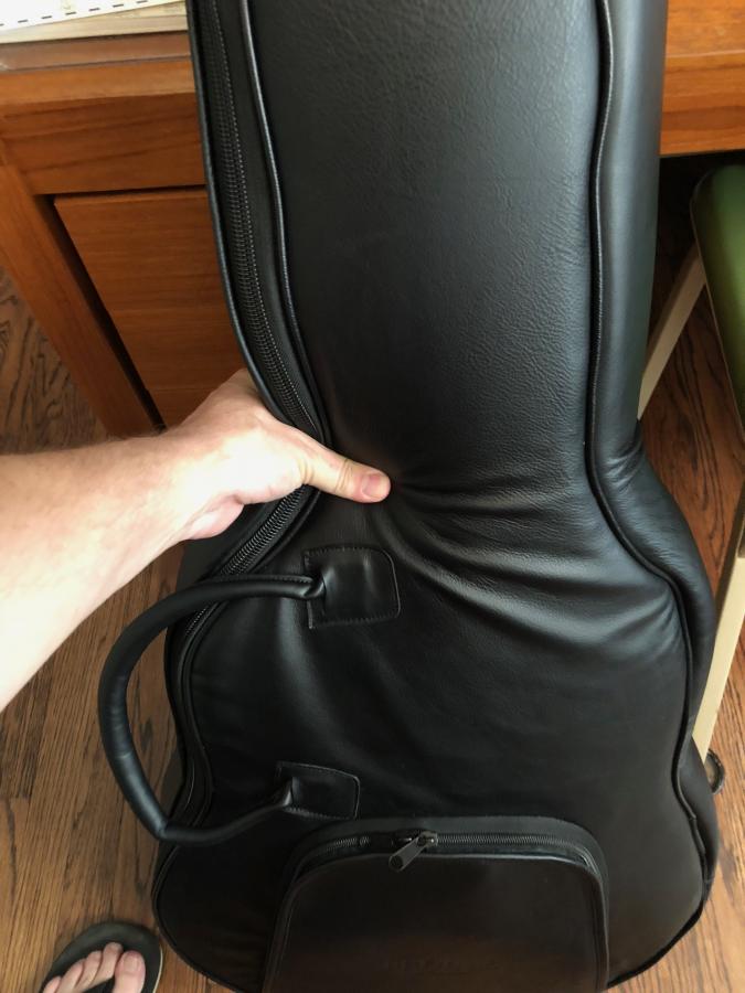 BYRDLAND padded case/gig bag-img_2132-jpg