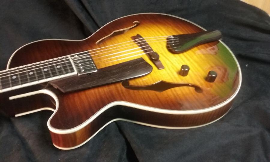 Thin Hollow Body Guitars-20160123_1049515b15d-jpg