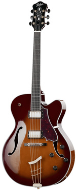 Ibanez/Washburn/Hagstrom ?-245915-jpg