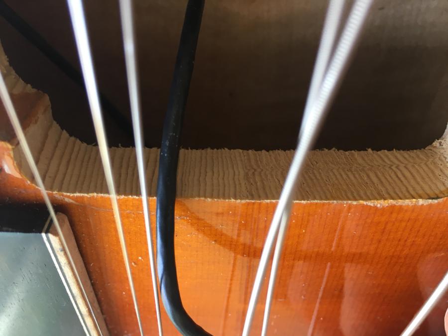 Eastman Carved Top Thinline Hollowbodies (186, 185, 184)-img_8358-jpg