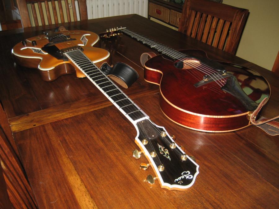 Thin Hollow Body Guitars-img_5156-jpg