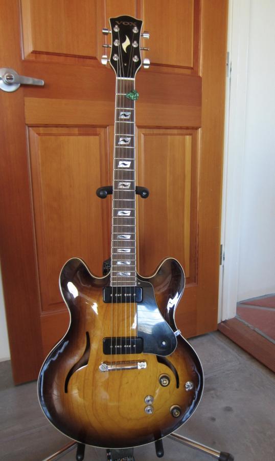 What guitar do you REALLY play?-img_0999-jpg