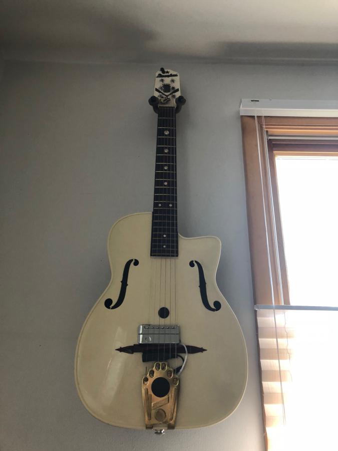 What guitar do you REALLY play?-plastic-mac-2-jpg