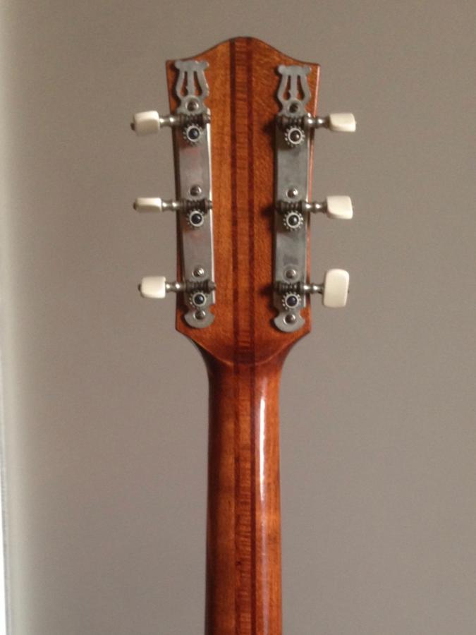 '50s Hofner and DeArmond Rhythm Chief - A Swingin&rsquo; Couple!-img_5910-jpg