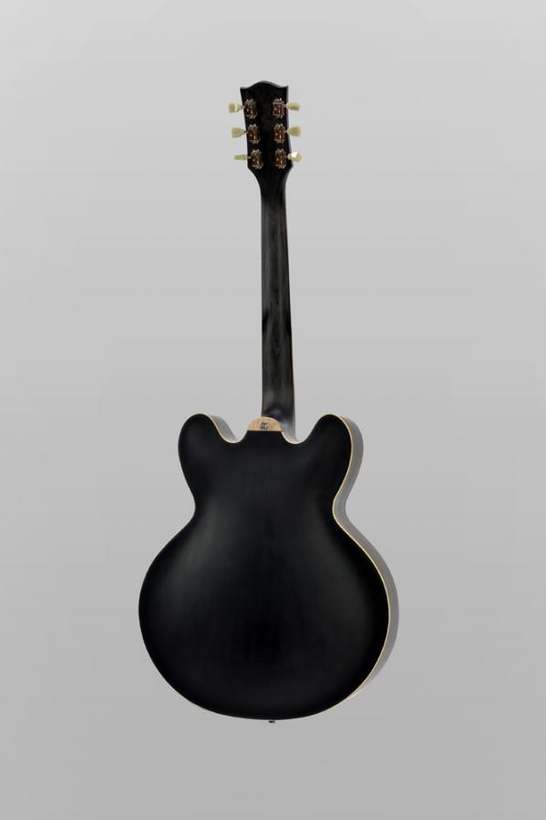 Carbon Fiber Archtop Guitars-back8791_jh-jpg